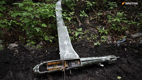 L'Europe a enfin abandonné sa prétention de gardienne de la paix, devenant complice du terrorisme d'État – expert militaire  - Sputnik Afrique