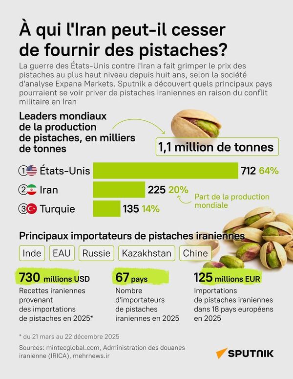  Quels pays pourraient se voir priver de pistaches iraniennes en raison du conflit au Proche-Orient? - Sputnik Afrique