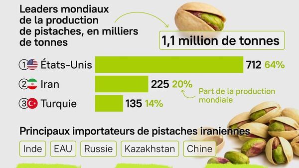  Quels pays pourraient se voir priver de pistaches iraniennes en raison du conflit au Proche-Orient? - Sputnik Afrique