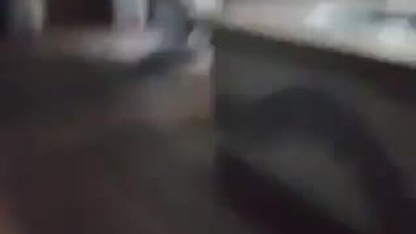 #viral | Sorry! Miss! So - Sputnik Africa