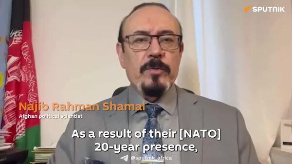 'NATO Has Turned Afghanistan Into Country of Organized Crime': Afghani Political Scientist - Sputnik Africa