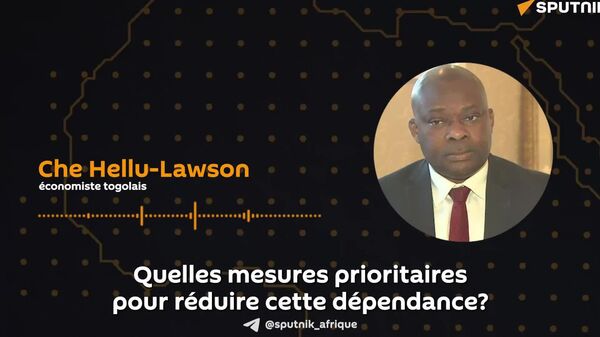 L'industrialisation est une solution clé pour l'Afrique afin de cesser d'être un continent d'exploitation des ressources brutes – économiste togolais - Sputnik Afrique