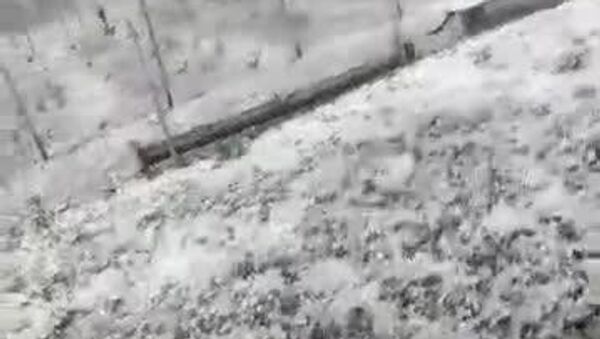 #viral | Hailstorm Strikes Otjozondjupa Region in Eastern-Central Namibia - Sputnik Africa