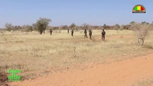 Les FAMa neutralisent plus de 130 terroristes en deux jours - Sputnik Afrique