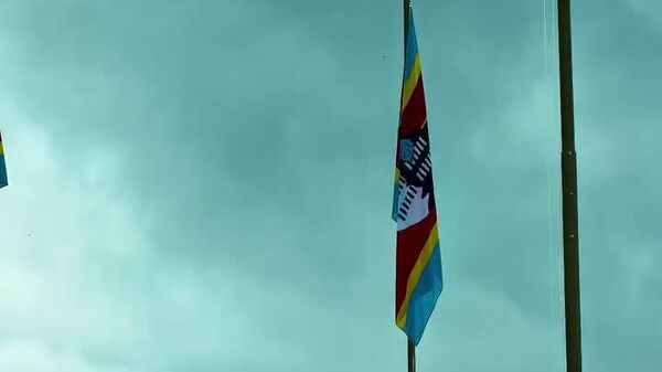 L'Afrique ne doit pas cesser de se développer — le Président zimbabwéen - Sputnik Afrique
