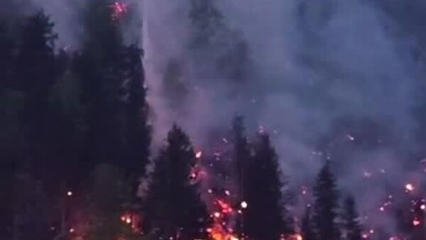 #viral | Austria Fights Large Forest Fire Spreading Over 110 Hectares - Sputnik Africa