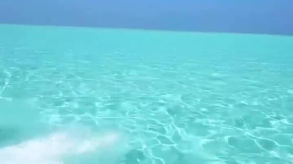 Zanzibar Plans Its Own National Airline to Unlock Direct Tourism Flows: Minister - Sputnik Africa