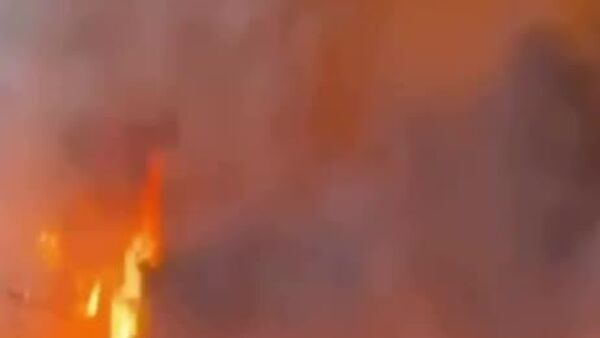 Un incendie ravage un terrain d'entraînement militaire aux Pays-Bas - Sputnik Afrique