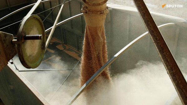 aide - Sputnik Afrique