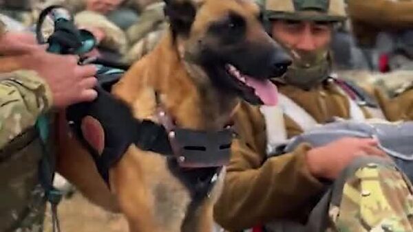 La patrouille du ciel a une nouvelle recrue: Ariša, la super-chienne du Kazakhstan - Sputnik Afrique