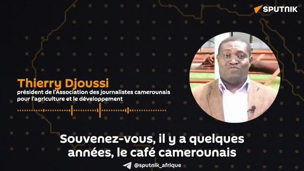 L'Arabica camerounais a la cote: le café des Dieux gagnerait à être transformé, selon un journaliste spécialisé - Sputnik Afrique