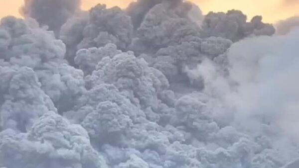 Les cendres d'un volcan transforment le jour en nuit - Sputnik Afrique