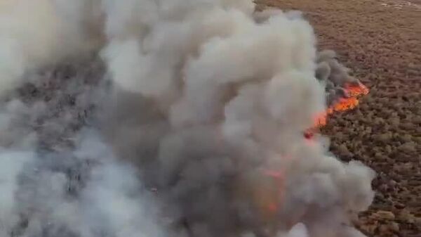 Un incendie aux États-Unis a déjà ravagé 400 hectares de végétation - Sputnik Afrique