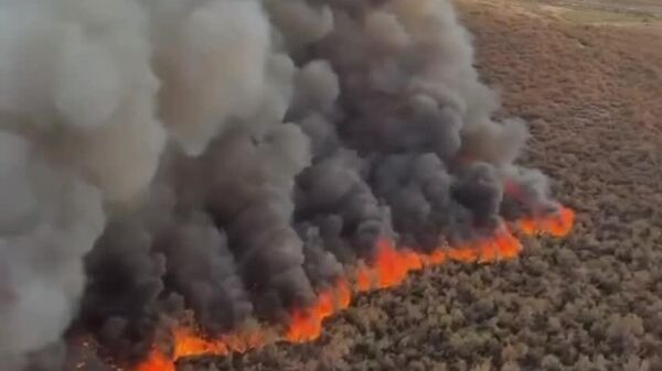 Arizona Fire Devours 1000 Acres of Land - Sputnik Africa