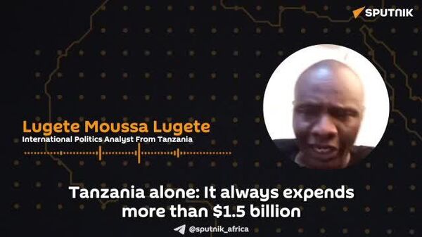 Kenya & Tanzania Can Protect East Africans From Foreign Trade by Investing in Internal Production: Tanzanian Expert - Sputnik Africa