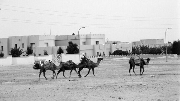 Sahara occidental: Le problème de la position US et française réside dans le double standard Sahara occidental: Le problème de la position US et française réside dans le double standard - Sputnik Afrique