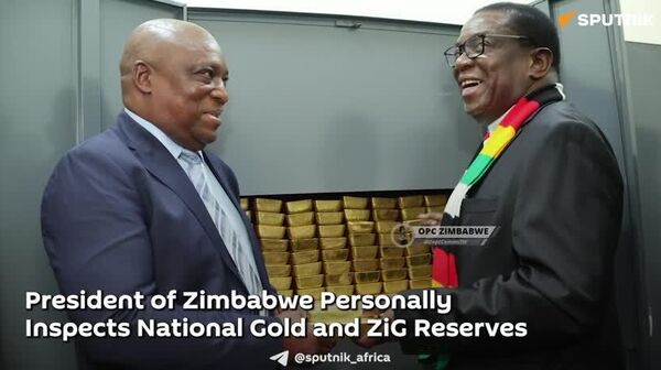 Zimbabwe's Gold-Backed Economy Producing 'Substantial Outcomes,' President Says - Sputnik Africa
