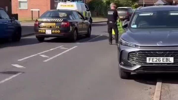 Priorité aux cygnes: la police ferme une route pour escorter en douceur toute cette gracieuse famille jusqu'au lac - Sputnik Afrique