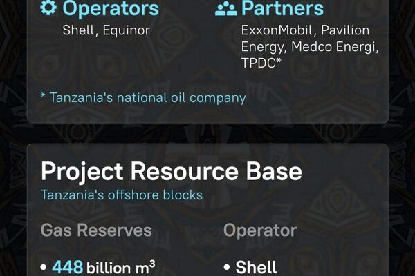 LNG Industry Development in Tanzania - Sputnik Africa