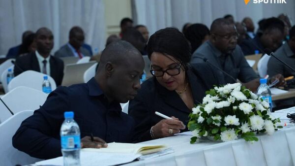 Russia & Tanzania Hold Expert Consultations in Arusha - Sputnik Africa