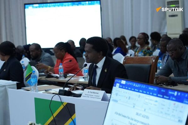 Russia & Tanzania Hold Expert Consultations in Arusha - Sputnik Africa