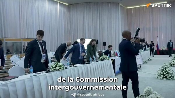 Le Forum d’affaires et d’investissement russo-tanzanien se tiendra le 15 mai - Sputnik Afrique