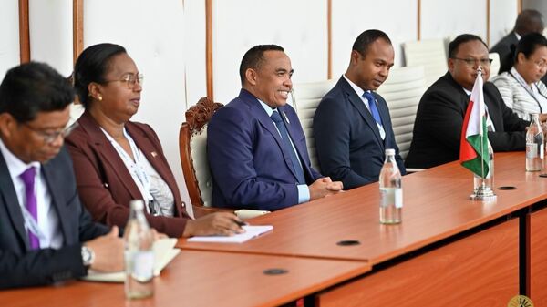 Madagascar Pushes for Local Mineral Processing as Condition for Mining Investment - Sputnik Africa