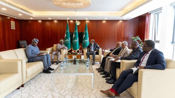 AU Appoints Ex-Nigerian President Olusegun Obasanjo as Peace Envoy for the Horn of Africa - Sputnik Africa