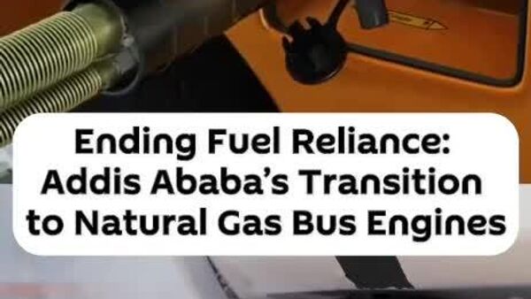 Addis Ababa Converting 1,200 Buses to Run on Natural Gas - Sputnik Africa