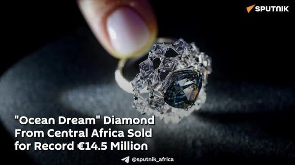 Rare Diamond From Central Africa Sold for 17 - Sputnik Africa