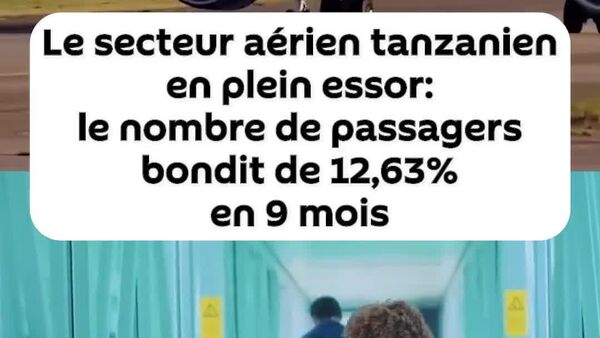 Le secteur aérien tanzanien en plein essor: le nombre de passagers bondit de 12,63% en 9 mois - Sputnik Afrique