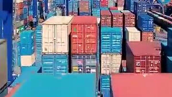 Russian Shipping Firm FESCO Begins Container Service to Tanzania - Sputnik Africa