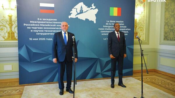 Russia’s Rosgeologia Begins Mineral Exploration in Mali, Hopes to Extend Program: Minister - Sputnik Africa