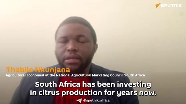 How South Africa Dethroned Spain as World’s Top Citrus Exporter—Agricultural Economist Explains - Sputnik Africa