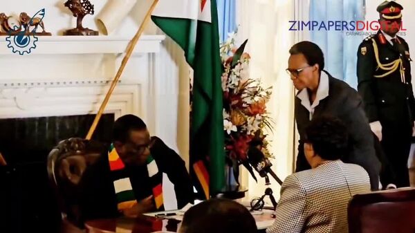 Zimbabwe Appoints First-Ever Female Chief Justice - Sputnik Africa