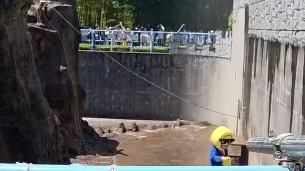 Deux influenceurs américains arrêtés pour être entrés dans l'enclos d'un singe star au Japon - Sputnik Afrique
