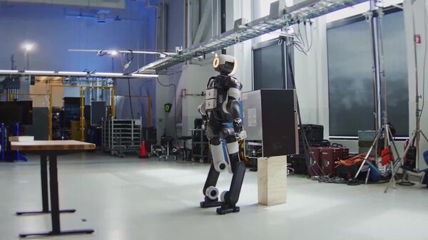 'Can Robot Carry My Fridge?' — 'Hold My Battery' - Sputnik Africa
