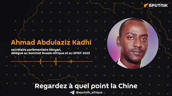 Les dirigeants avisés utilisent leur pouvoir pour le bien de toute l'humanité, déclare un avocat kényan - Sputnik Afrique
