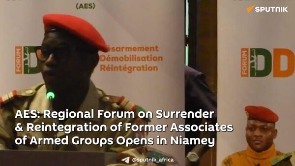 AES Examines Reintegration Strategies for Former Combatants of Armed Groups - Sputnik Africa