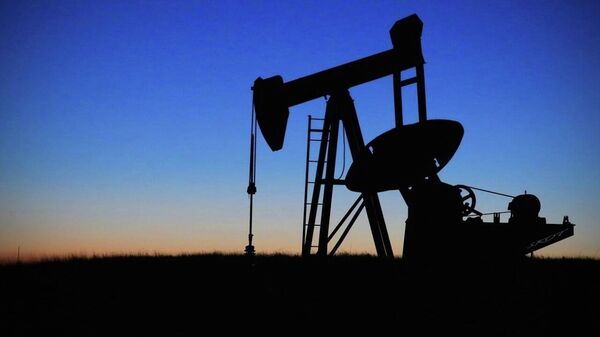 Egypt Discovers Massive Oil & Gas Field in Western Desert: Petroleum ministry - Sputnik Africa