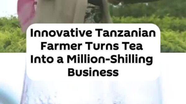 Tanzanian Farmer Builds Million-Shilling Tea Business Through Innovation - Sputnik Africa