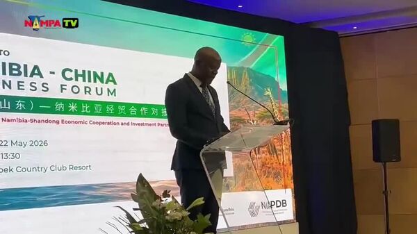 Strengthening Bonds: Namibia-China Business Forum Delivers Key Opportunities for Economic Cooperation - Sputnik Africa