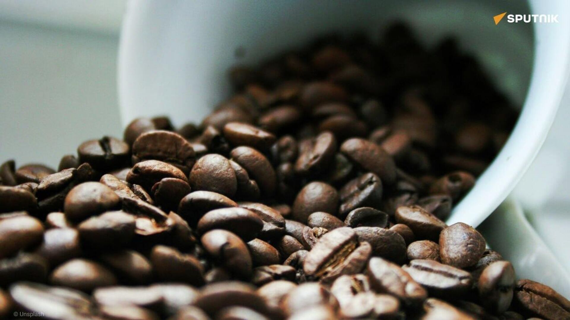 L'Éthiopie bientôt 4e producteur mondial de café, selon le Département de l'Agriculture des États-Unis L'Éthiopie bientôt 4e producteur mondial de café, selon le Département de l'Agriculture des États-Unis - Sputnik Afrique, 1920, 22.05.2026