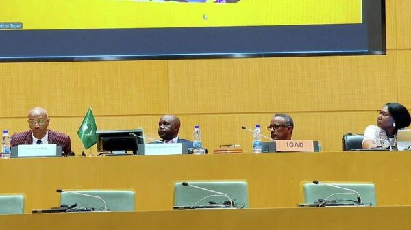 Partnership, Solidarity & Data Sovereignty Are Key to Disaster Risk Reduction in Africa: Ethiopian Commissioner - Sputnik Africa