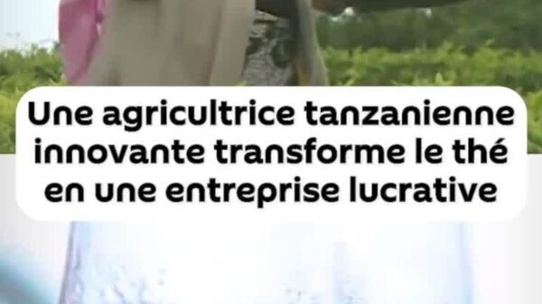 En Tanzanie, une entreprise de thé valant des millions de shillings créée grâce à l'innovation - Sputnik Afrique