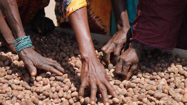 Le karité burkinabè peut à nouveau être exporté - Sputnik Afrique