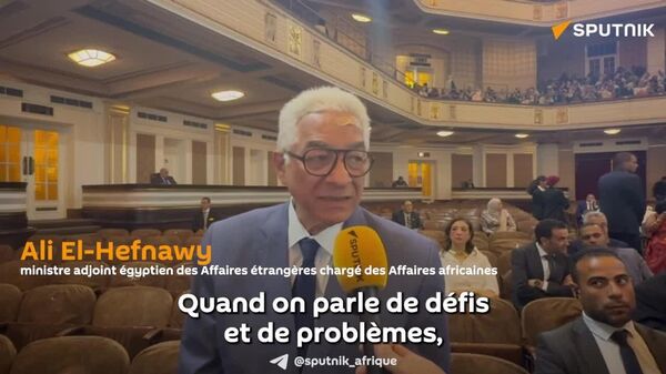 Journée de l'Afrique: parfois nous réussissons brillamment, parfois nous trébuchons, souligne un responsable égyptien Journée de l'Afrique: parfois nous réussissons brillamment, parfois nous trébuchons, souligne un responsable égyptien - Sputnik Afrique