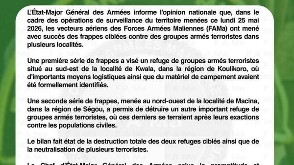 Mali: double raid réussi contre des refuges terroristes — armée - Sputnik Afrique