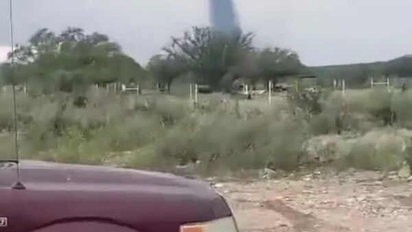Tornado Hits Northeastern Mexico Vegetation Zone — And Somehow Leaves Everything Else Standing - Sputnik Africa
