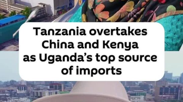 Tanzania Becomes Uganda’s Leading Import Source, Surpassing China & Kenya - Sputnik Africa